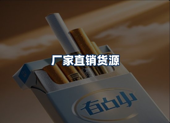 专业团队办公环境